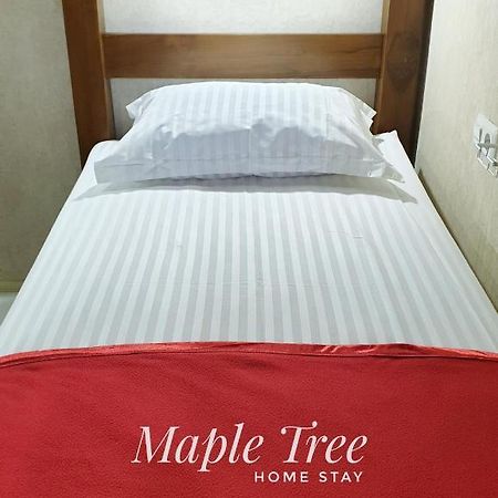 Maple Tree Homestay Maguwo エクステリア 写真