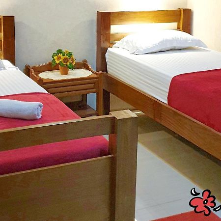 Maple Tree Homestay Maguwo エクステリア 写真