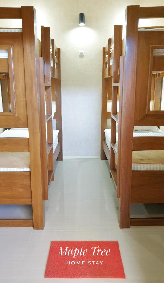 Maple Tree Homestay Maguwo エクステリア 写真