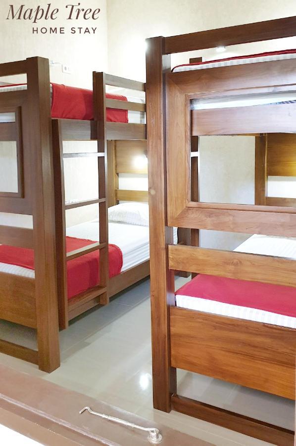 Maple Tree Homestay Maguwo エクステリア 写真