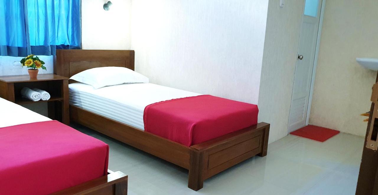 Maple Tree Homestay Maguwo エクステリア 写真