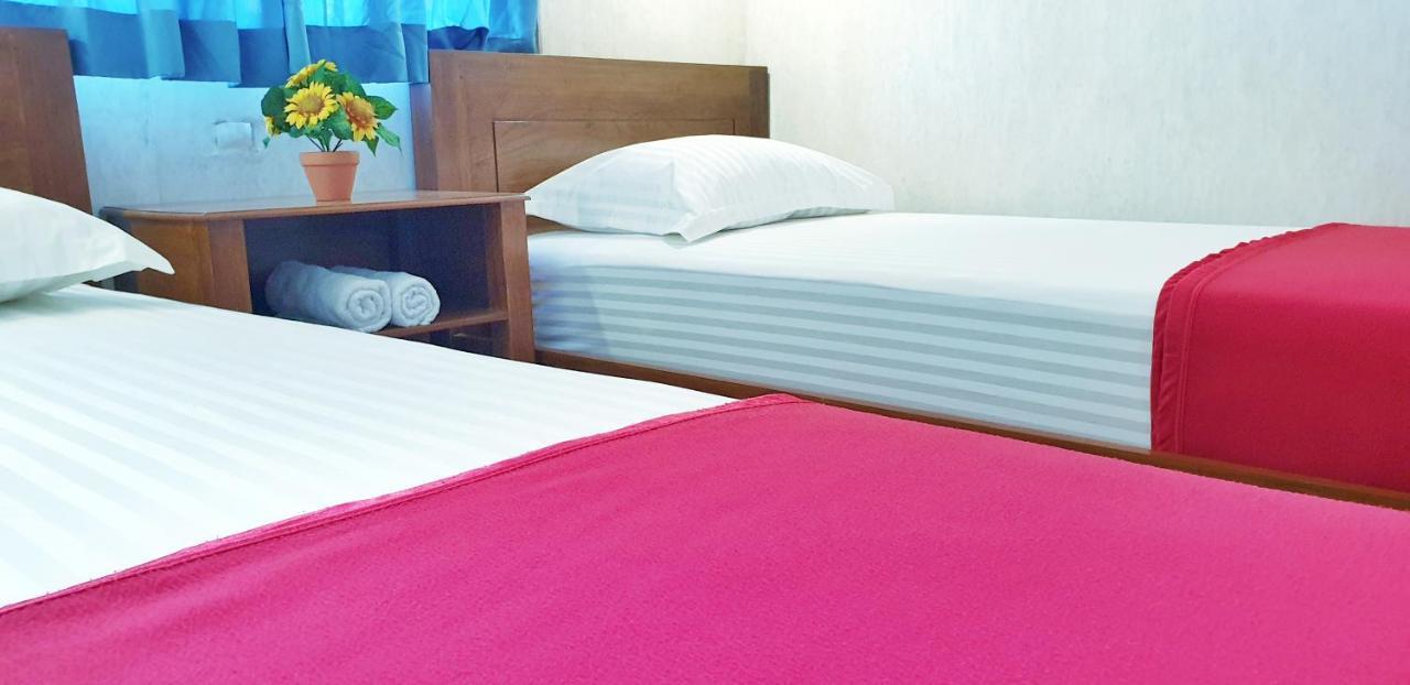 Maple Tree Homestay Maguwo エクステリア 写真