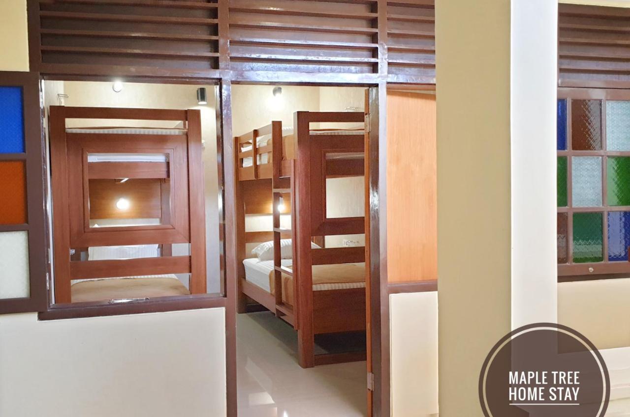 Maple Tree Homestay Maguwo エクステリア 写真