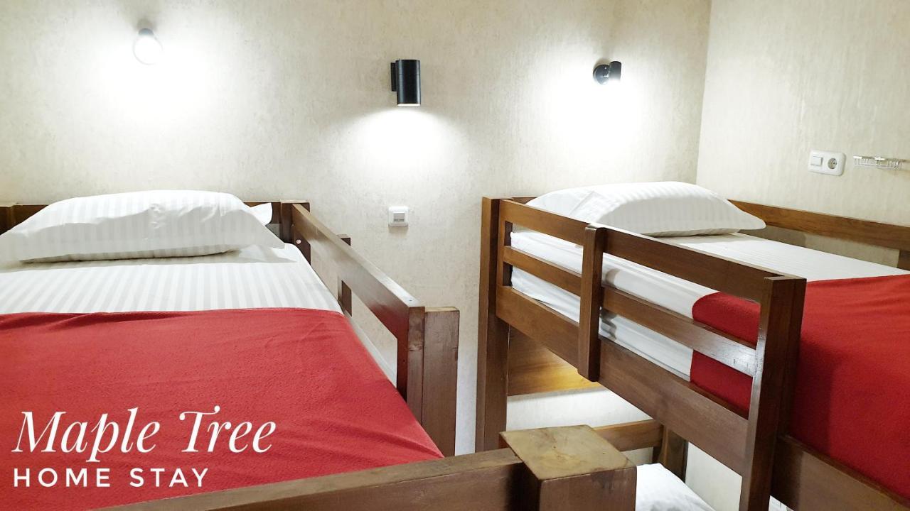 Maple Tree Homestay Maguwo エクステリア 写真