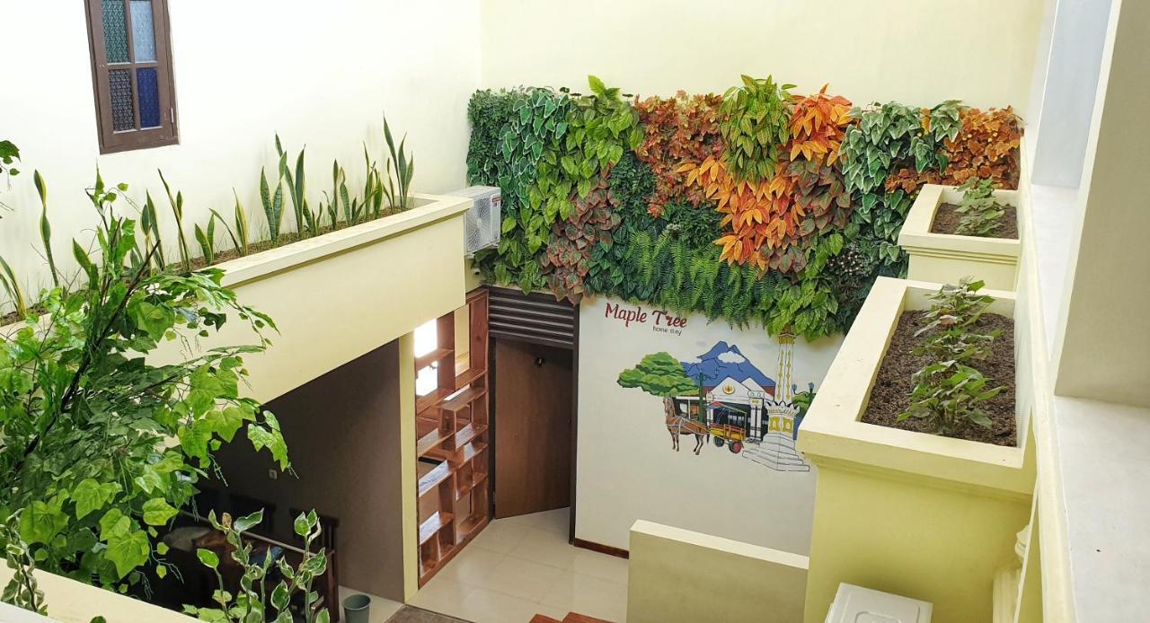 Maple Tree Homestay Maguwo エクステリア 写真