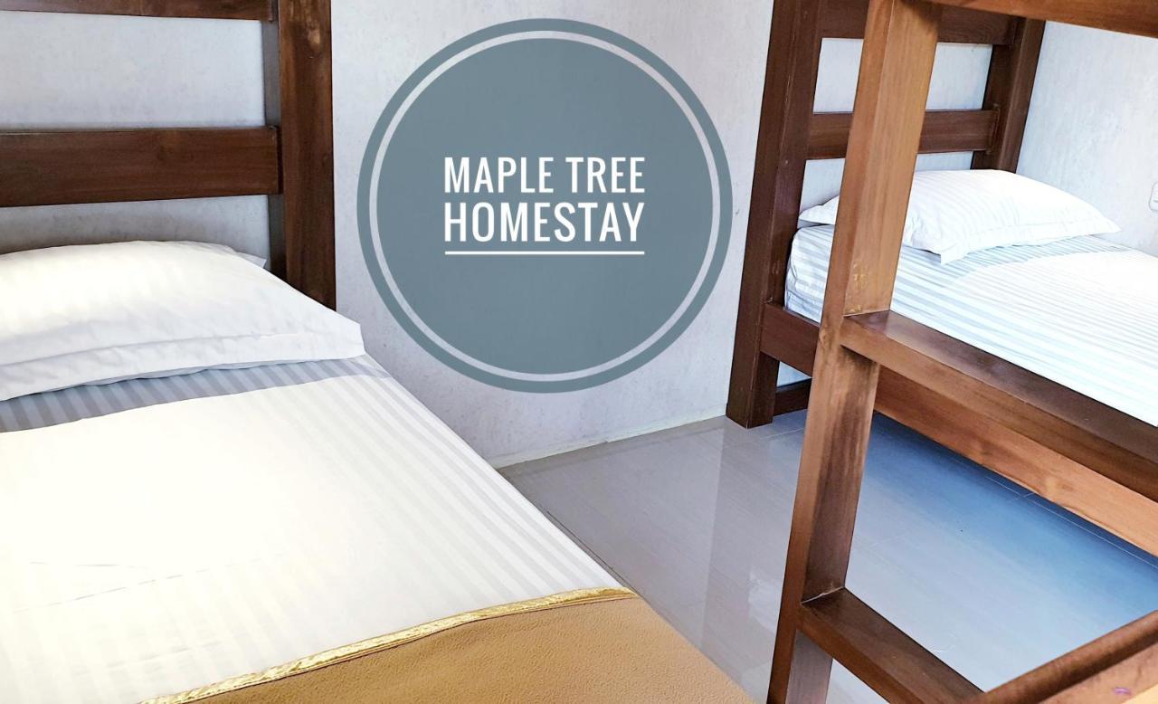 Maple Tree Homestay Maguwo エクステリア 写真