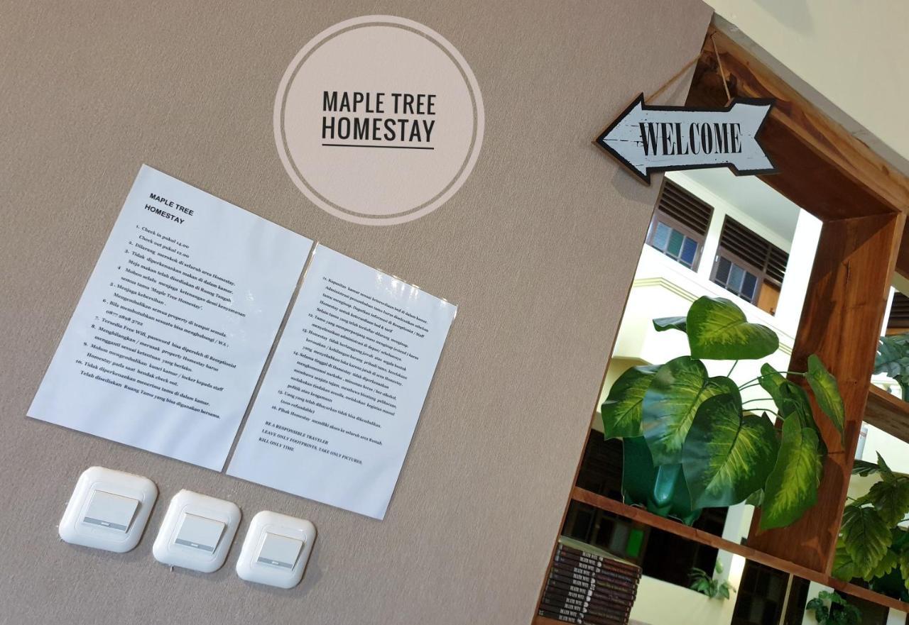 Maple Tree Homestay Maguwo エクステリア 写真