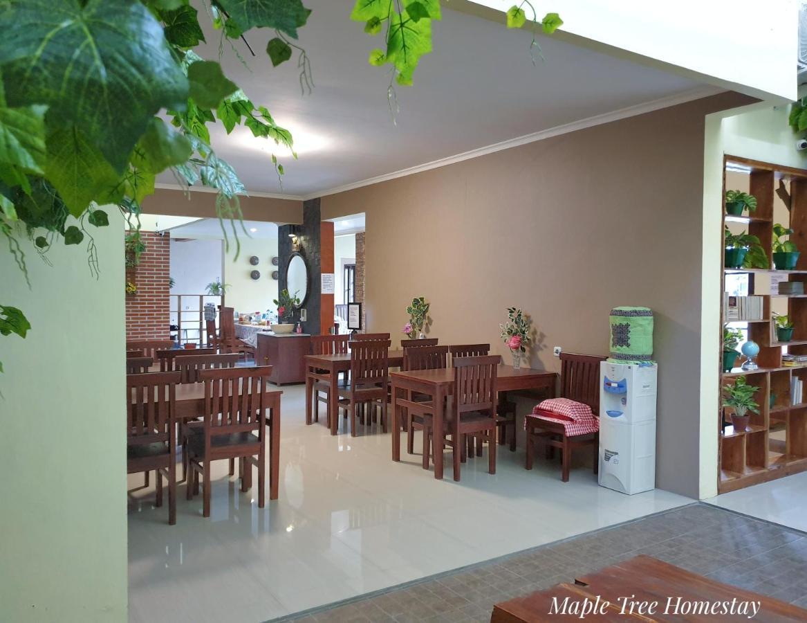Maple Tree Homestay Maguwo エクステリア 写真