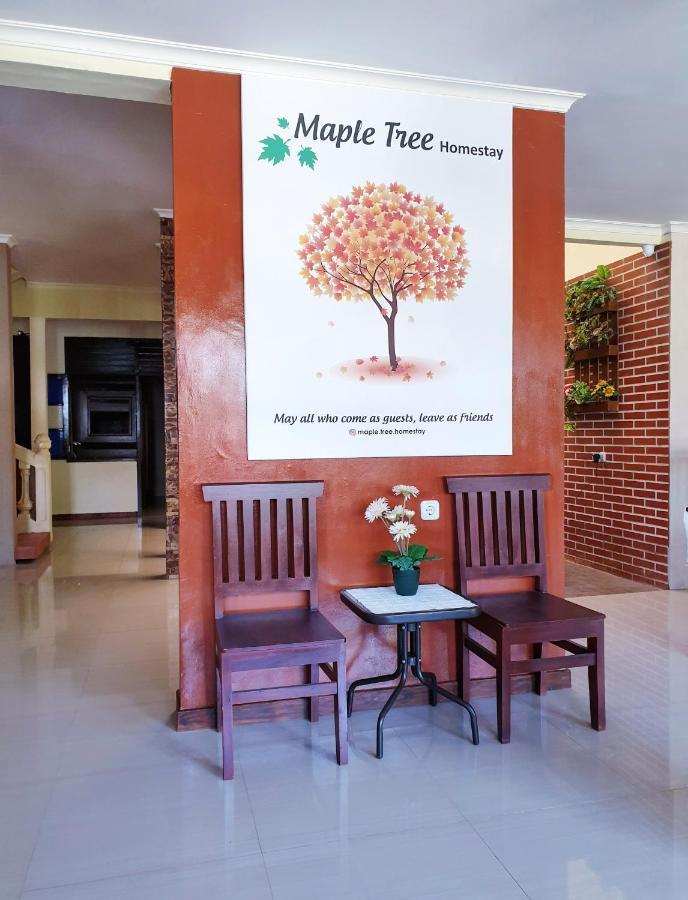 Maple Tree Homestay Maguwo エクステリア 写真