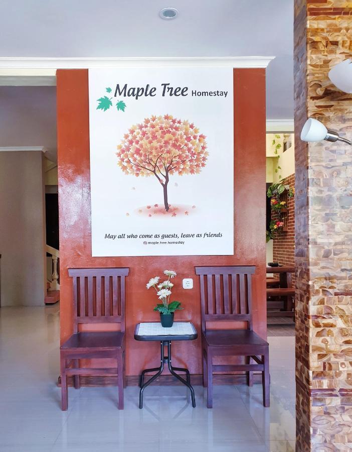 Maple Tree Homestay Maguwo エクステリア 写真