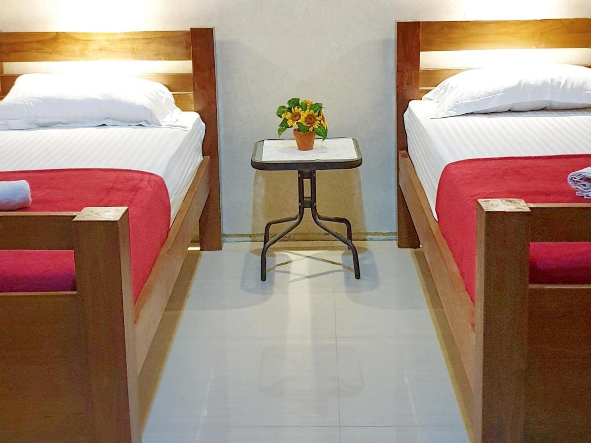 Maple Tree Homestay Maguwo エクステリア 写真