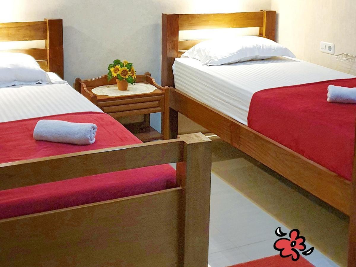 Maple Tree Homestay Maguwo エクステリア 写真